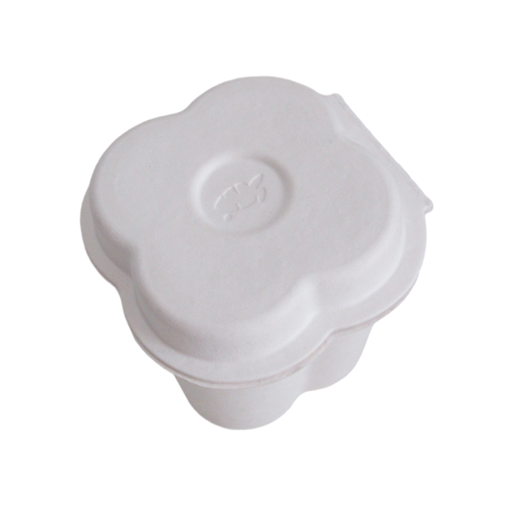 bagasse box